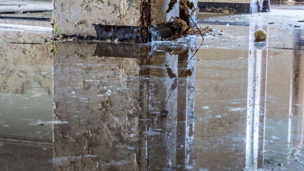 Water Damage Restoration
